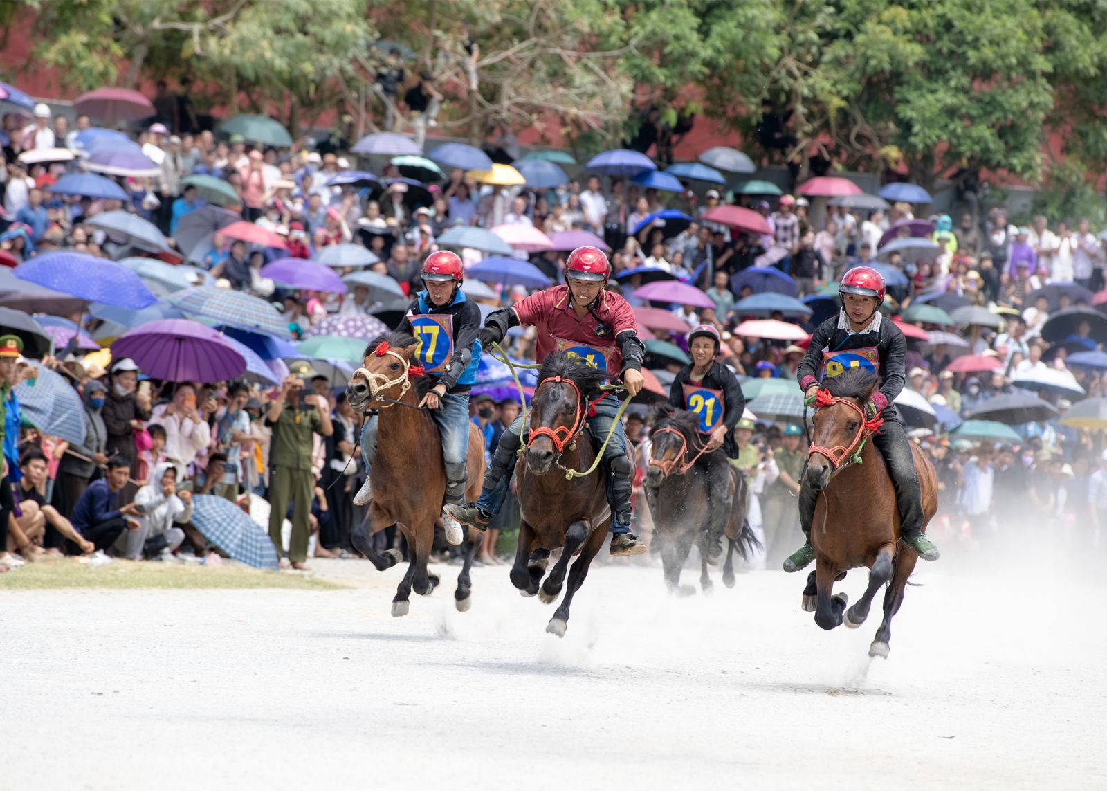  SẮC MÀU VĂN HÓA VÀNG BÊN CAO NGUYÊN TRẮNG: RỰC RỠ FESTIVAL MÙA HÈ 2026 TẠI BẮC HÀ